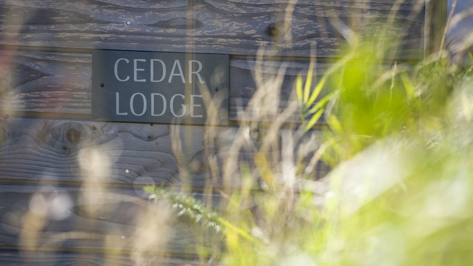 Cedar Lodge - Banner Image